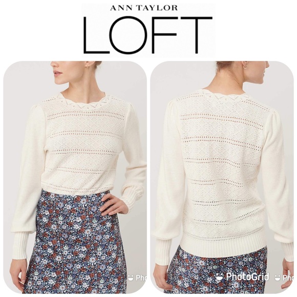 NWT LOFT Dot Stripe Pointelle Sweater Sz S $79.50! - Picture 1 of 4